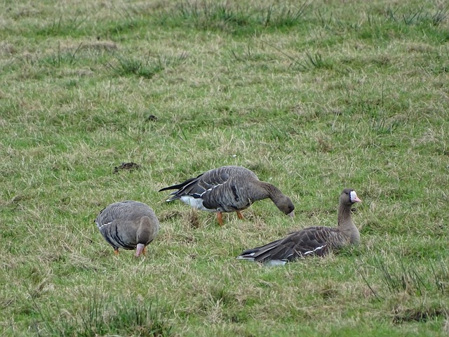 还在心理上 还在心理上