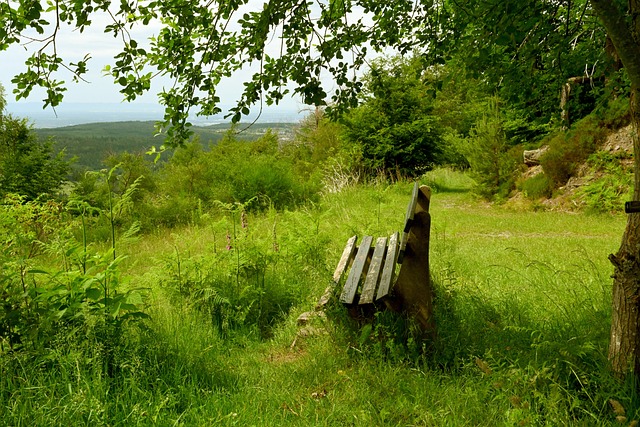 通过心理疏 通过心理疏