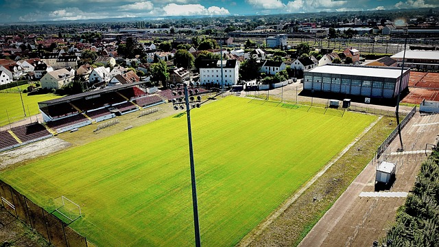 无疑会继续 无疑会继续