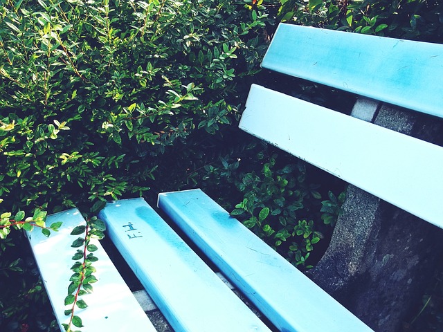 波罗的海三 波罗的海三