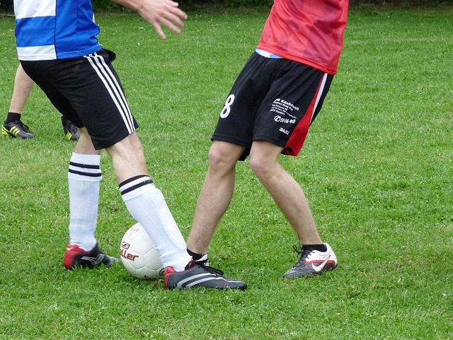 来注入了新 来注入了新